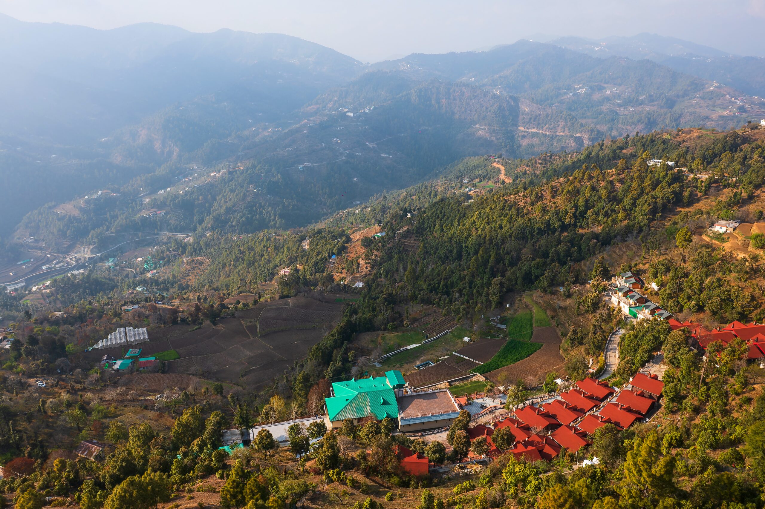 Early Bird Mountain offer